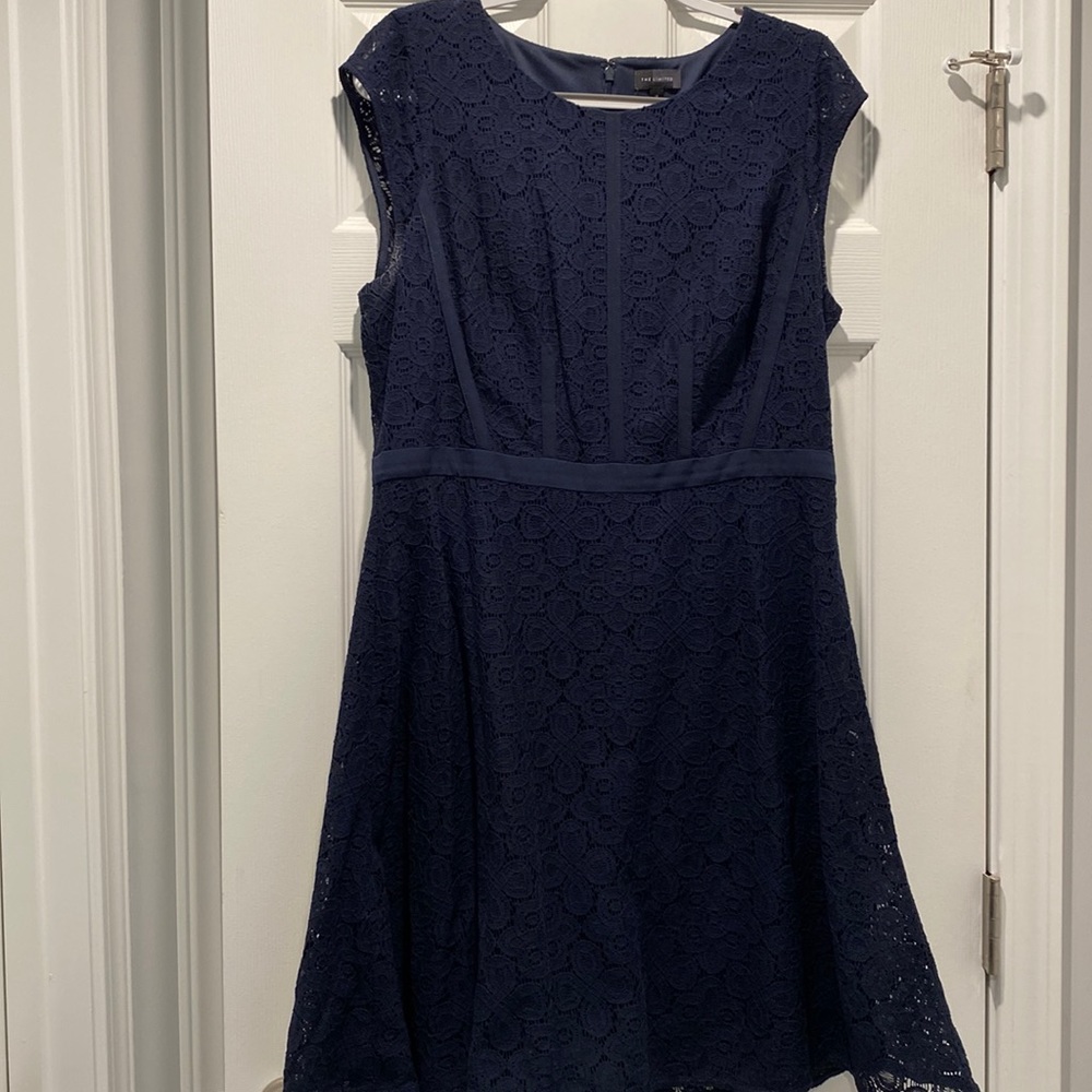 The Limited Navy Lace Dress